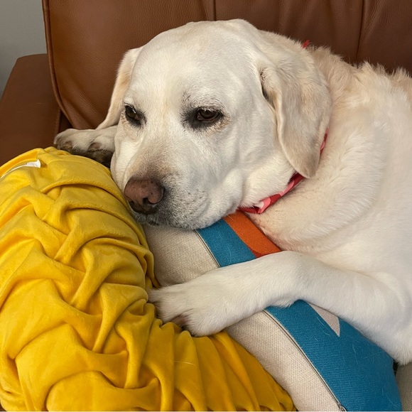 Meet your Posher, Nancy - Picture 12 of 12